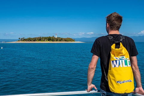 Half Day Low Isles Snorkelling Tour From Port Douglas - Hotel VIC 5