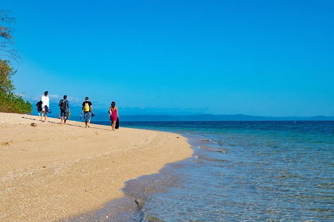 Half Day Low Isles Snorkelling Tour From Port Douglas - Hotel VIC 3
