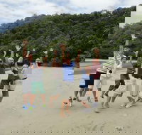 Private Daintree Wanderer Tour - Hotel VIC