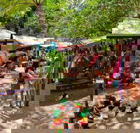 Kuranda Day Trip small group from Port Douglas by bus - Hotel VIC
