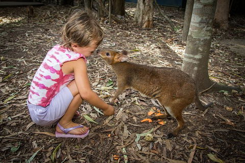 Hartley's Crocodile Adventures Day Trip From Cairns - Hotel VIC 1