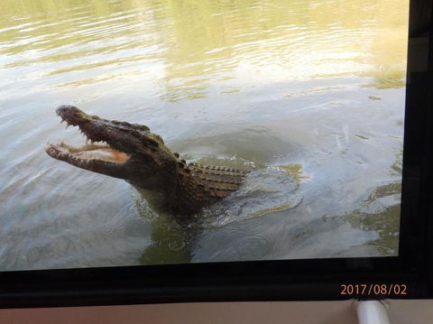 Hartley's Crocodile Adventures Day Trip From Cairns - Hotel VIC 4
