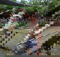 Hartley's Crocodile Adventures Day Trip from Cairns