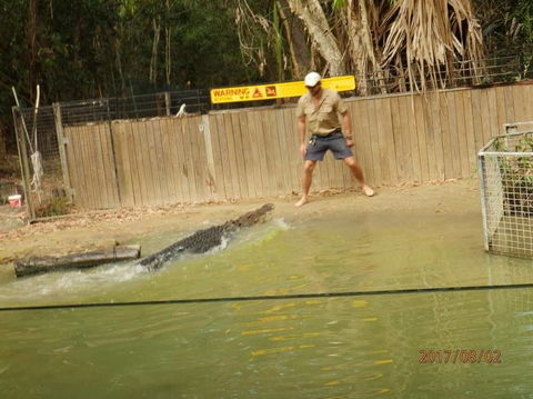 Hartley's Crocodile Adventures Day Trip From Cairns - Hotel VIC 8