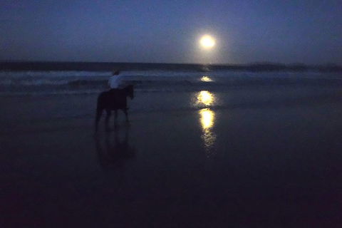 Full Moon Horse Ride At Rainbow Beach - Hotel VIC 0