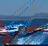 Blue Dolphin Exclusive Whale Watch Encounters - Hotel VIC