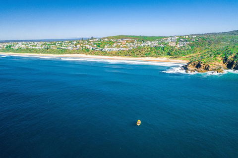 Noosa Oceanrider Scenic Dolphin Safari - Hotel VIC 5