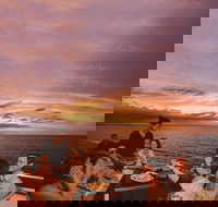 Darwin Harbour Sunset Cruise with Optional Buffet Dinner - Hotel VIC