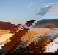 Uluru Ayers Rock Sunset with Outback Barbecue Dinner and Star Tour - Hotel VIC