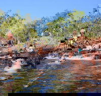 Litchfield and Jumping Crocodiles Full Day Trip from Darwin - Hotel VIC