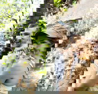 Small-Group Litchfield National Park Day Trip from Darwin - Hotel VIC