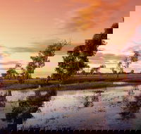 3-Day Kakadu National Park and Arnhem Land Explorer Tour from Darwin - Hotel VIC