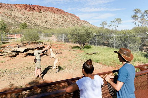 Alice Springs Desert Park General Entry Ticket - Hotel VIC 9