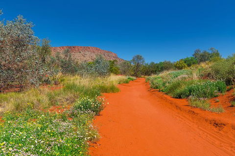 Alice Springs Desert Park General Entry Ticket - Hotel VIC 7
