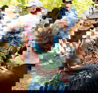 Tiwi Islands Cultural Experience from Darwin Including Ferry - Hotel VIC