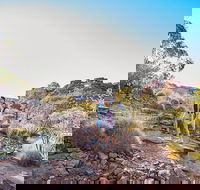 Kings Canyon Guided Rim Walk