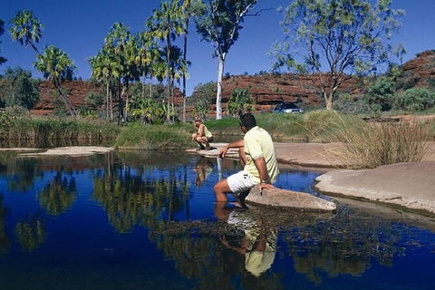 Palm Valley 4WD Day Tour - Hotel VIC 3