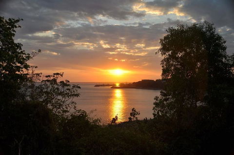 Kakadu, Nourlangie And Yellow Waters Tour From Darwin - Hotel VIC 24