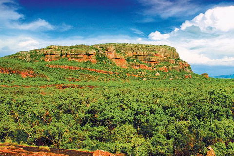 Kakadu, Nourlangie And Yellow Waters Tour From Darwin - Hotel VIC 36