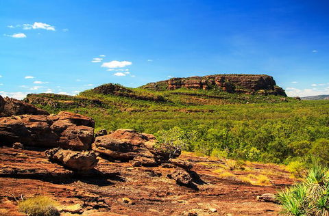 Kakadu, Nourlangie And Yellow Waters Tour From Darwin - Hotel VIC 34