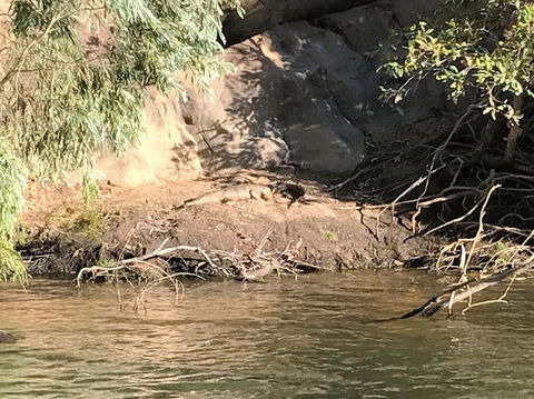 Nitmiluk (Katherine) Gorge 3.5-Hour Sunset Dinner Boat Tour - Hotel VIC 4