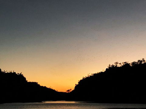 Nitmiluk (Katherine) Gorge 3.5-Hour Sunset Dinner Boat Tour - Hotel VIC 9
