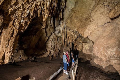 Cutta Cutta Caves Nature Park Guided Tours - Hotel VIC 1
