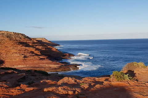 20 Day Darwin To Perth Adventure - Hotel VIC 12