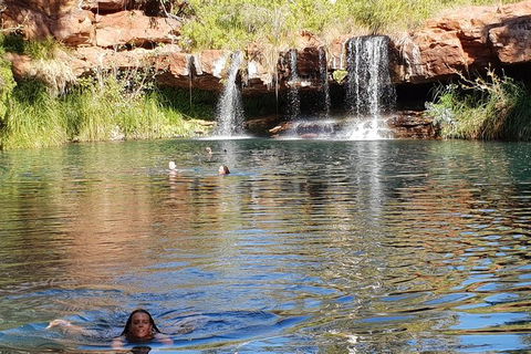 20 Day Darwin To Perth Adventure - Hotel VIC 6