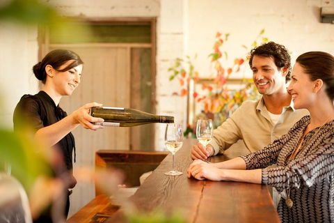 Scenic Hunter Valley Winery Tour With Boutique Wineries & Local Cheese - Hotel VIC 1