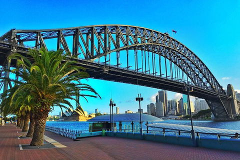 Half Day In Sydney With A Local: Private & Personalized - Hotel VIC 10