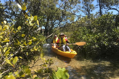 Paddle In Paradise - 4 Hours Double Kayak Hire - Hotel VIC 1