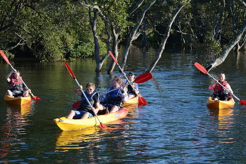 Kayak And SUP Guided Tours - Hotel VIC 0