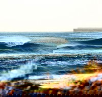 7-Day Byron Bay Evans Head and Moonee Beach Surf Safari from Brisbane Gold Coast or Byron Bay - Hotel VIC