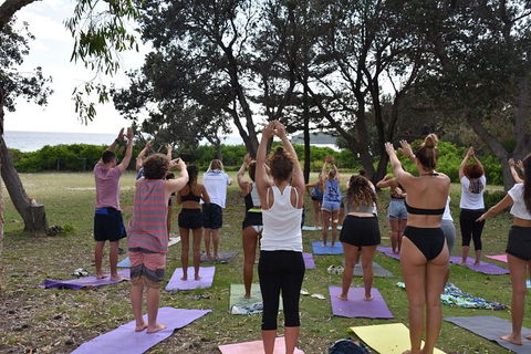 7-Day Byron Bay, Evans Head And Moonee Beach Surf Safari From Brisbane, Gold Coast Or Byron Bay - Hotel VIC 3