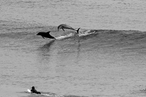 7-Day Byron Bay, Evans Head And Moonee Beach Surf Safari From Brisbane, Gold Coast Or Byron Bay - Hotel VIC 6