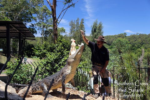 Private Shoalhaven Zoo Experience From Sydney - Hotel VIC 0