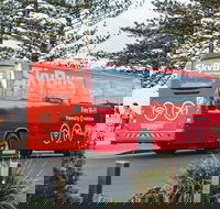 SkyBus Byron Bay Express - Hotel VIC