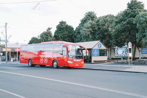 SkyBus Byron Bay Express - Hotel VIC 3