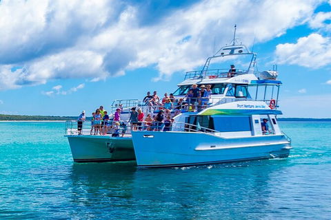 Jervis Bay Whale Watching Tour - Hotel VIC 2