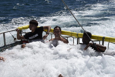 Jervis Bay Boom Netting And Dolphins Tour - Hotel VIC 9