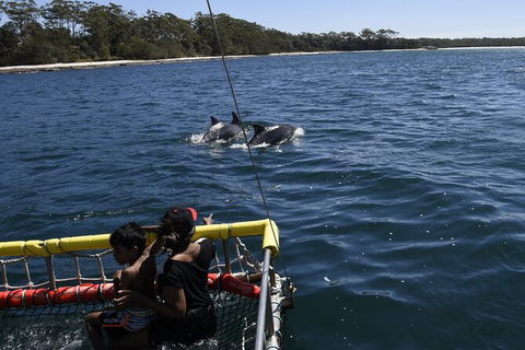 Jervis Bay Boom Netting And Dolphins Tour - Hotel VIC 6
