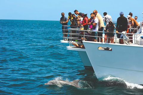 Jervis Bay Boom Netting And Dolphins Tour - Hotel VIC 10
