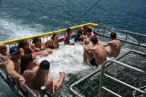 Jervis Bay Boom Netting And Dolphins Tour - Hotel VIC 4