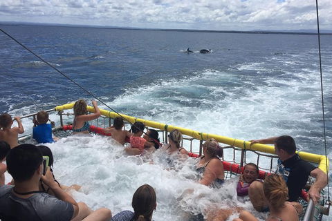 Jervis Bay Boom Netting And Dolphins Tour - Hotel VIC 14