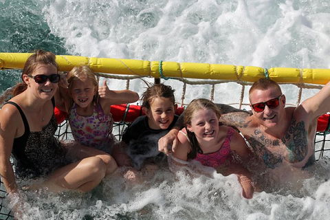 Jervis Bay Boom Netting And Dolphins Tour - Hotel VIC 11