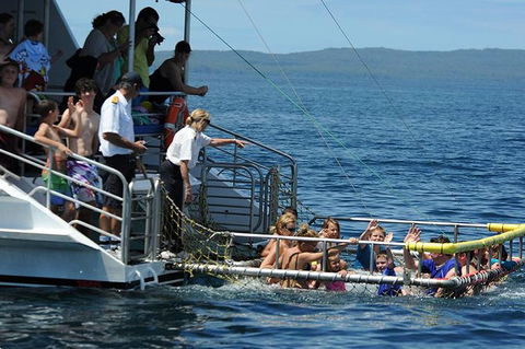 Jervis Bay Boom Netting And Dolphins Tour - Hotel VIC 5