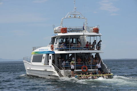 Jervis Bay Boom Netting And Dolphins Tour - Hotel VIC 12