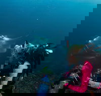 5-Hour Byron Bay Introductory Scuba Diving Tour - Hotel VIC