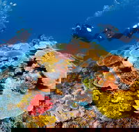 Agincourt Reef - Hotel VIC